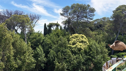 Foto Attico in Via Adelaide Ristori, Roma Parioli di 240 m² con 6 locali