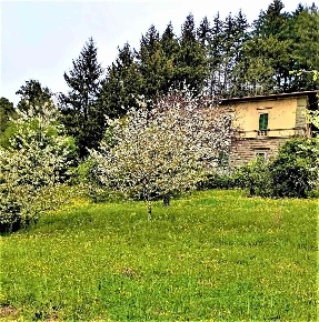 Foto Villa unifamiliare a Vaglia Bivigliano di 640 m² con 15 locali