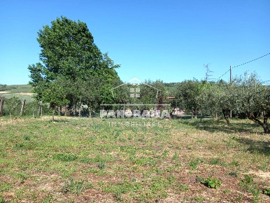 Foto Terreno edificabile a San Clemente di 785 m² in vendita