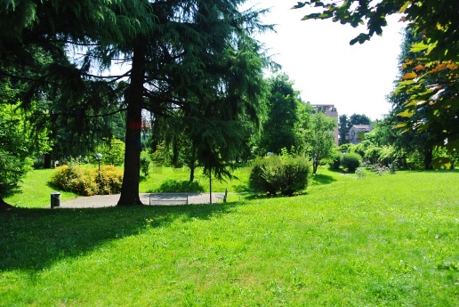 immagine annuncio 7 di 11