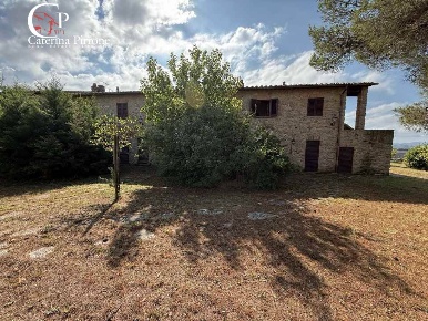 Foto Agriturismo in via degli Allori 80, Volterra di 827 m² con 23 locali