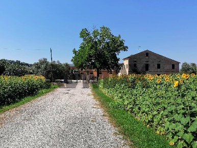 Foto Casa indipendente in Via Mazzangrugno 12, Jesi Borgo Minonna di 432 m²