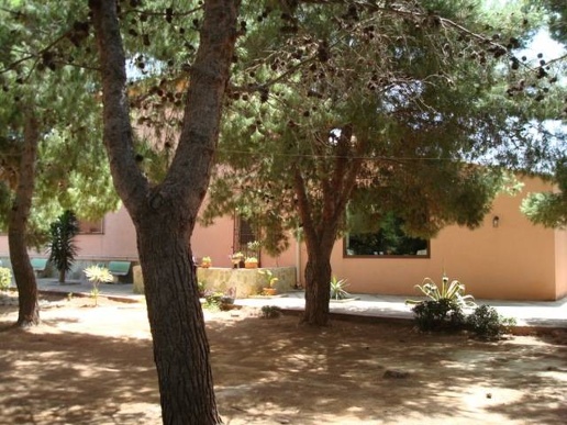 immagine annuncio 3 di 4