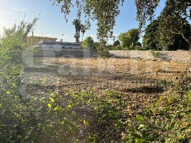 Foto Terreno residenziale in Via MONTE FLAVIO 2, Nettuno di 1080 m²