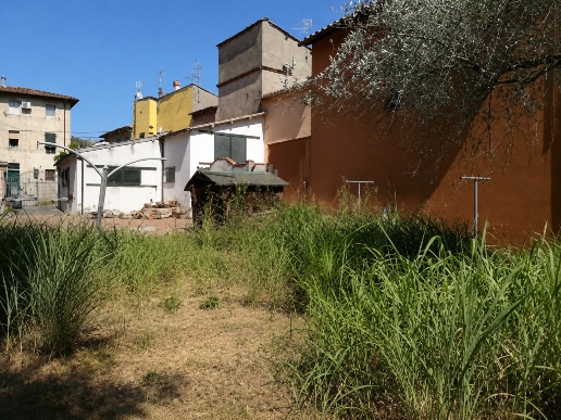immagine annuncio 2 di 6