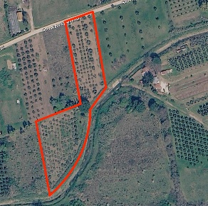 Foto Terreno agricolo a Piombino di 9280 m² in vendita