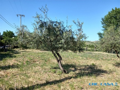 Foto Terreno edificabile in Via San Savino, San Clemente di 750 m²