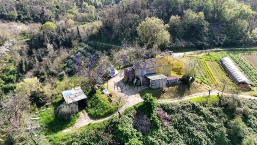 Foto Rustico in VIA SAIANO 500, Cesena Carpineta di 210 m² con 6 locali