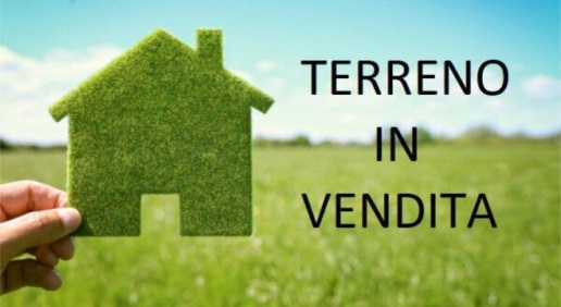 Foto Terreno agricolo in Via Magenta, Villata di 2500 m² in vendita