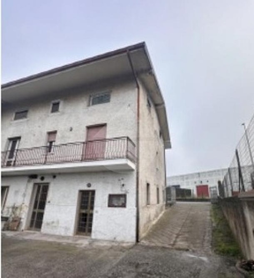 immagine annuncio 4 di 7