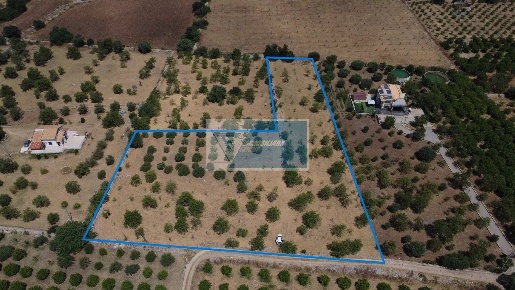 Foto Terreno agricolo in Contrada Petrara, Avola in vendita
