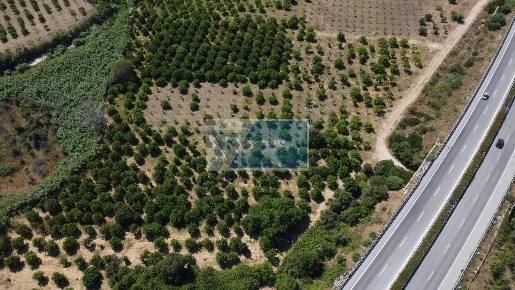 Foto Terreno agricolo in SP35, Noto in vendita