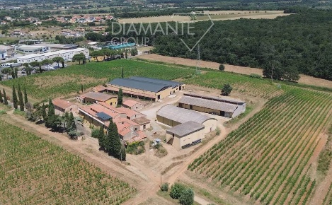 Foto Rustico a Montescudaio di 7000 m² con 80 locali in vendita