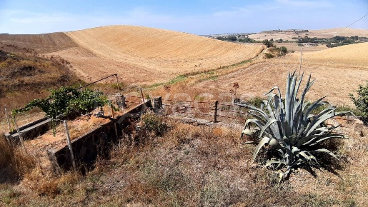 Foto Rustico a Tarquinia Campagna di 180 m² con 5 locali in vendita