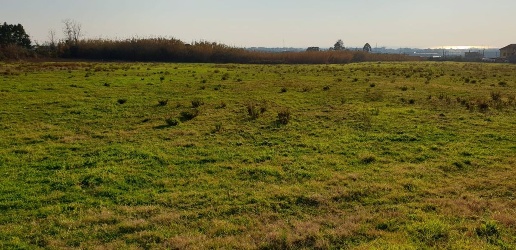 Foto Terreno agricolo in Via degli agrumi 1, Salerno di 20000 m² in vendita