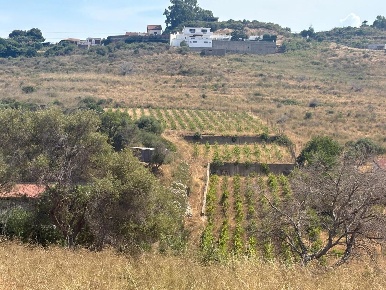 Foto Terreno agricolo in Via Nicholaus Kleineberg 2, Messina di 4570 m²