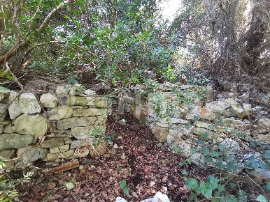 Foto Terreno agricolo in Via SP291 400, Ugento di 10000 m² in vendita