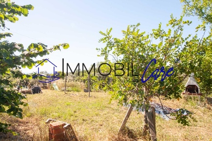 Foto Terreno agricolo a Livorno Limoncino - Valle Benedetta di 3500 m²