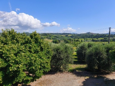 Foto Rustico a Terricciola Centro di 750 m² con 10 locali in vendita