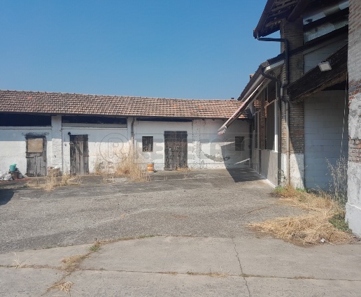 immagine annuncio 11 di 13