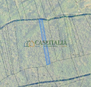 Foto Terreno agricolo in Strada Pietra Chiavoira, Rivoli di 1590 m²