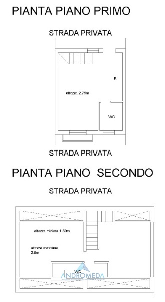 immagine annuncio 12 di 13