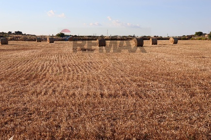 Foto Terreno agricolo in Via Mosebbi snc, Ragusa Bruscè - Cisternazzi
