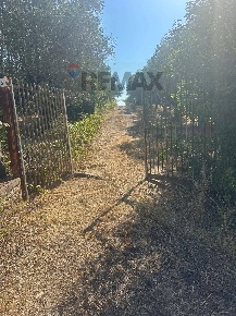 Foto Villa unifamiliare in VIA GROTTE DI QUATTRO MIGLIA 13, Velletri