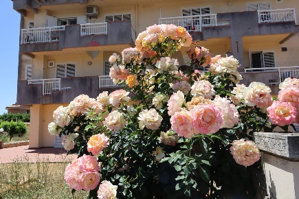 Foto Villa a schiera in Via Palmiro Togliatti 8, Ragusa Nunziata - Pianetti
