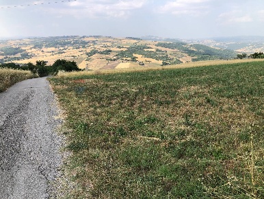 Foto Terreno residenziale in contrada pescare snc, Fragneto Monforte