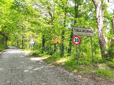 Foto Terreno agricolo in Frazione Tallacano n, Acquasanta Terme di 56000 m²
