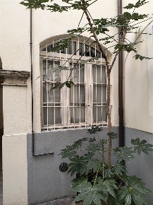 Foto Ufficio a Parma Centro Storico di 68 m² con 2 locali in vendita