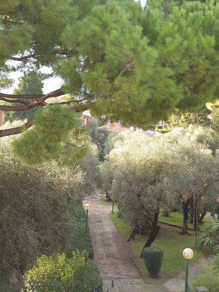 immagine annuncio 8 di 9