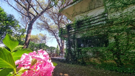 Foto Villa unifamiliare a Rignano Flaminio di 210 m² con 7 locali