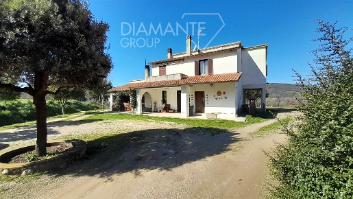 Foto Cessione attività a Cinigiano Centro di 820 m² con 9 locali in vendita