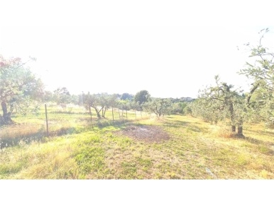 Foto Terreno agricolo in VIA DELLA CADUTA, Scandicci di 16800 m² in vendita