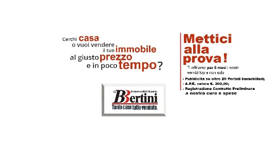 immagine annuncio 5 di 12