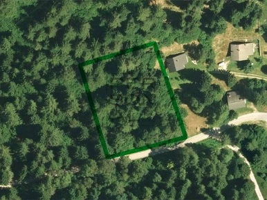 Foto Terreno residenziale a Pieve Tesino di 2220 m² in vendita