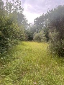 Foto Terreno residenziale in Via Terreno edificabile in SP 16, Stroncone
