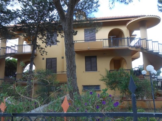 immagine annuncio 5 di 14