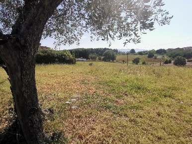 Foto Terreno residenziale a Cerreto Guidi Stabbia di 3200 m² in vendita