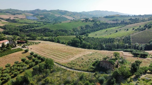 immagine annuncio 1 di 6