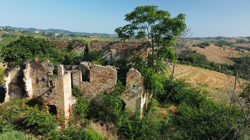 immagine annuncio 2 di 6