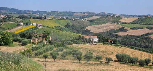 immagine annuncio 3 di 6