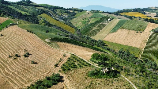 immagine annuncio 4 di 6