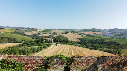 immagine annuncio 5 di 6
