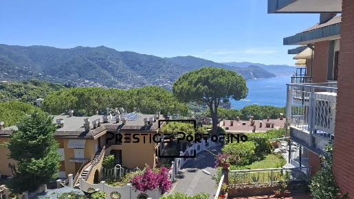 Foto Appartamento in Via privata del Poggetto 12, Rapallo con 5 locali