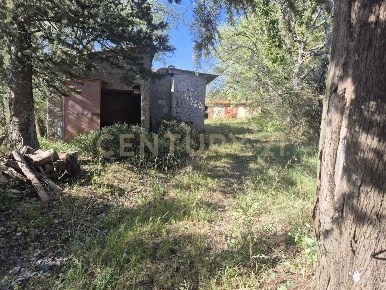Foto Rustico in località poggi del sasso snc, Cinigiano di 280 m²