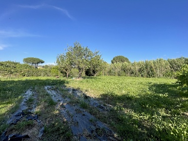 Foto Terreno agricolo in Via di Cameretta, Orbetello di 1920 m² in vendita