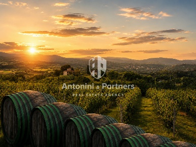 Foto Casale in Località Turri, Montefalco di 907 m² con 19 locali